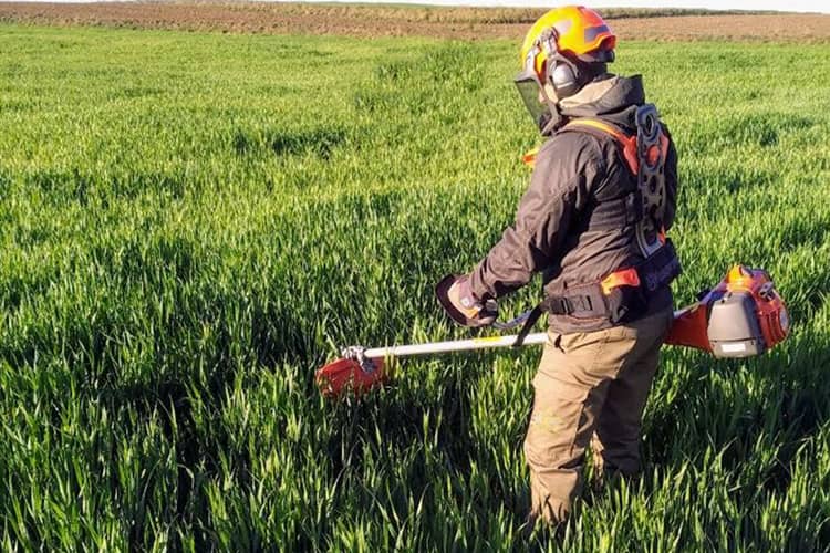 Desbroce-limpieza-de-parcelas