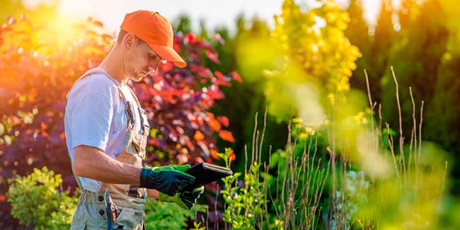 servicios-de-jardineria-min servicios de jardineria
