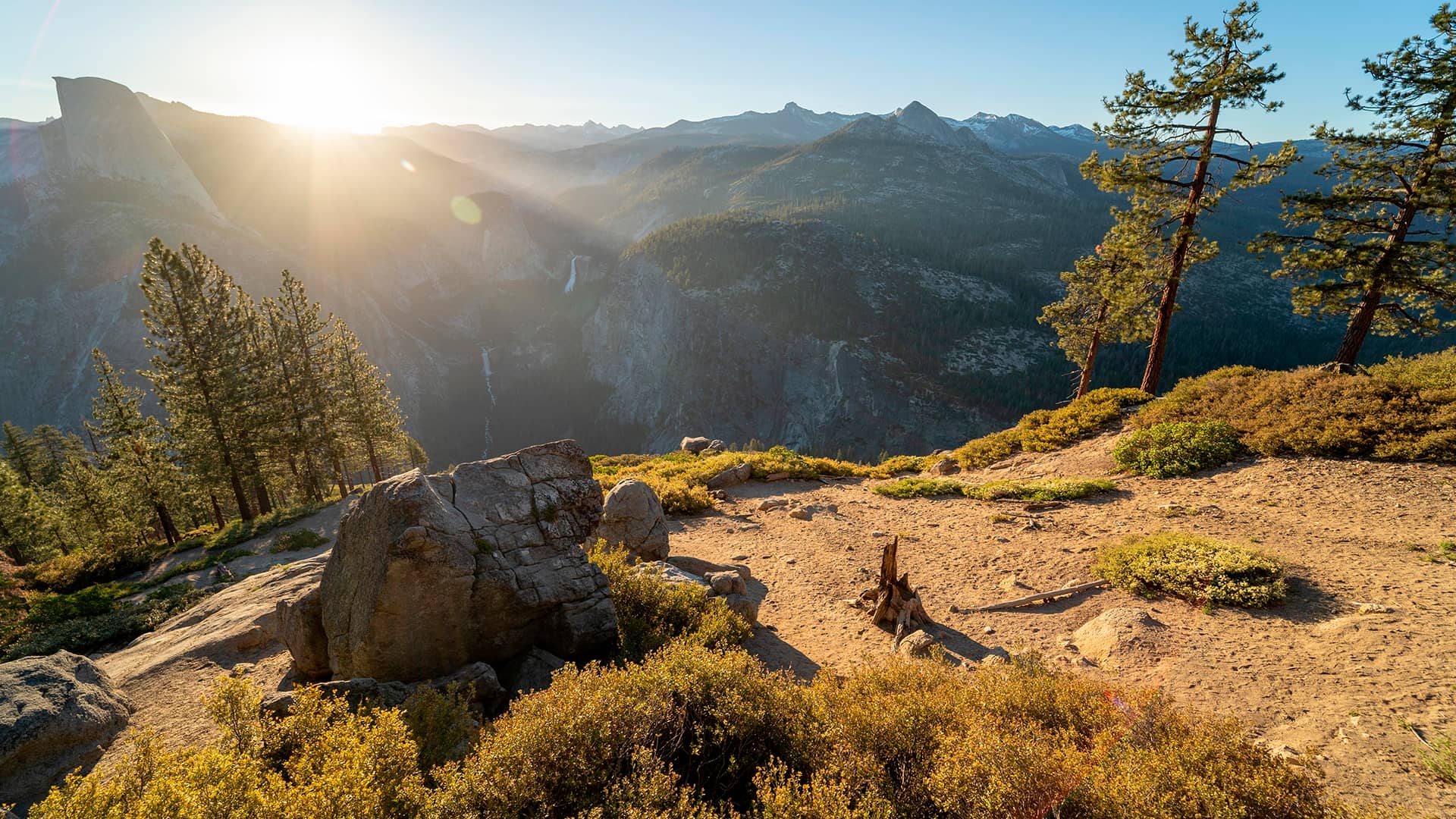 trabajos-forestales-tala-poda